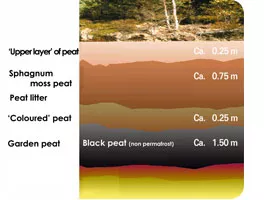 Potting mixes, general info