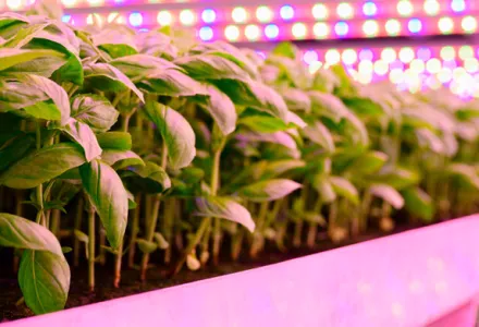 Sopeutuminen uusiin valaisimiin – ei erityistä pulloa tarvita